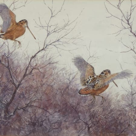 Aiden Lassell Ripley Watercolor Painting of Woodcocks