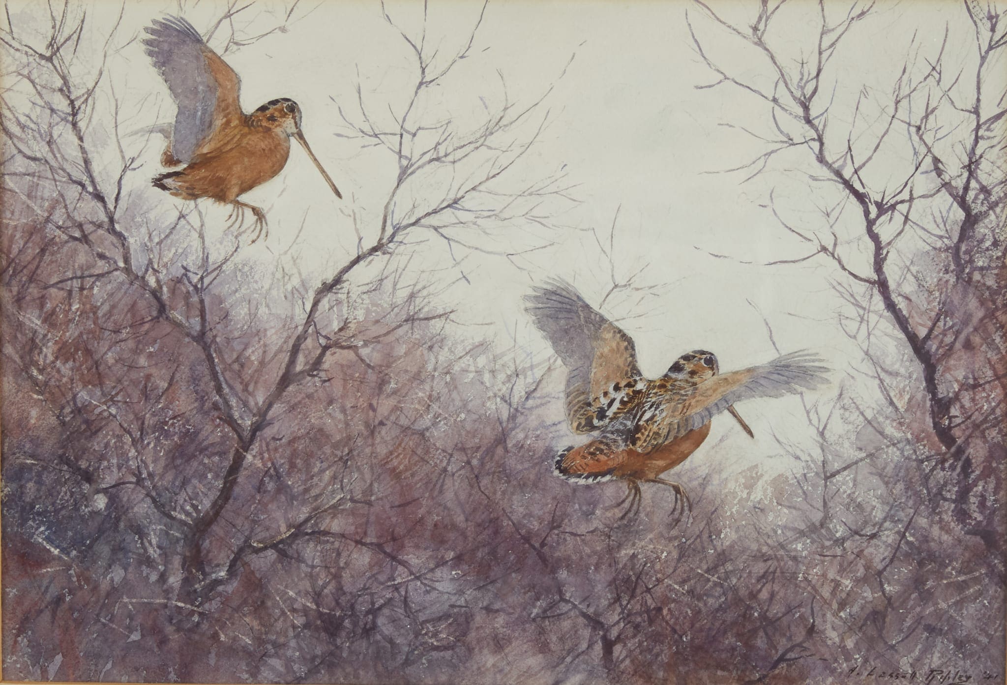le_pho_banner 2 Aiden Lassell Ripley Watercolor Painting of Woodcocks