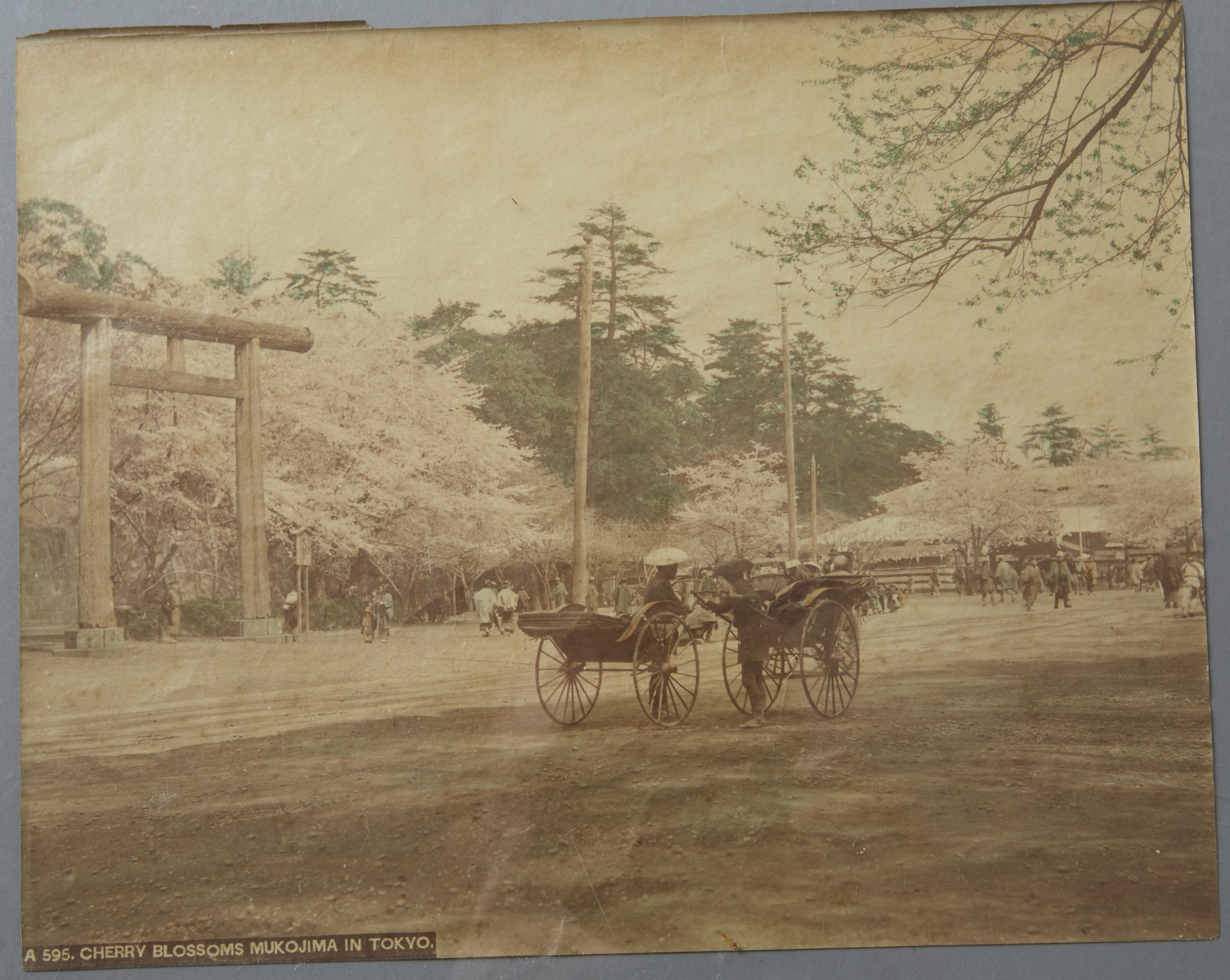 Lot 248: 6 pc: 19th century Japanese Albumen Photograph Prints of Japan possibly by Kozaburo Tamamura