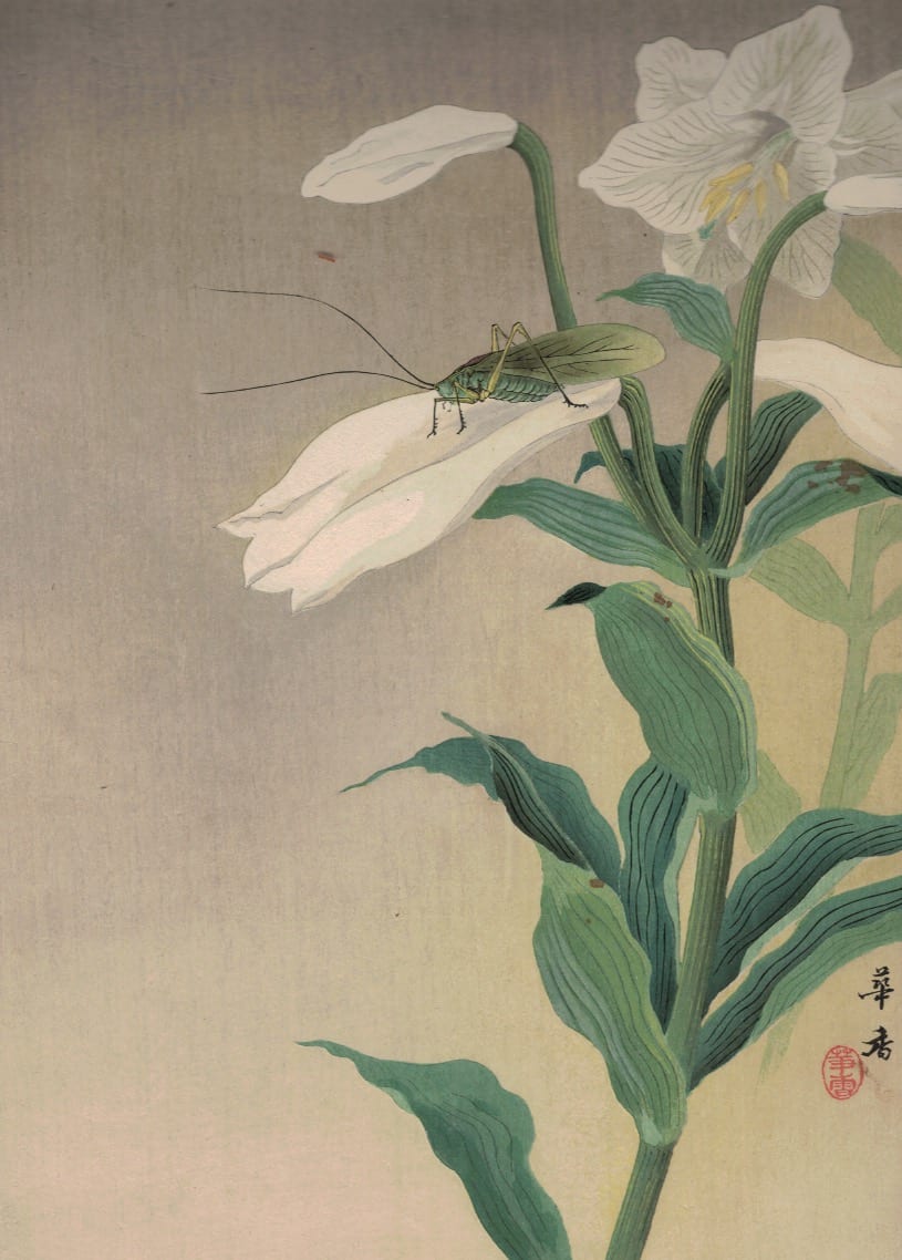 Lot 061: Tsuji Kako Flower Grasshopper Gouache Painting
