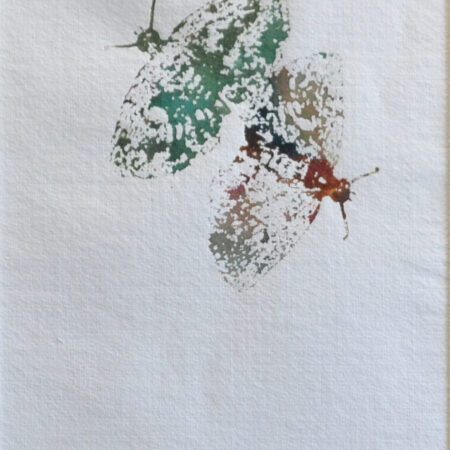 Kiki Smith Butterfly Watercolor