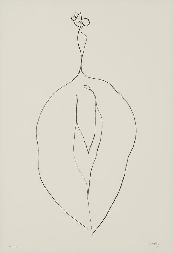 le_pho_banner 2 Ellsworth Kelly ""Seaweed"" from ""Series of Plant Lithographs