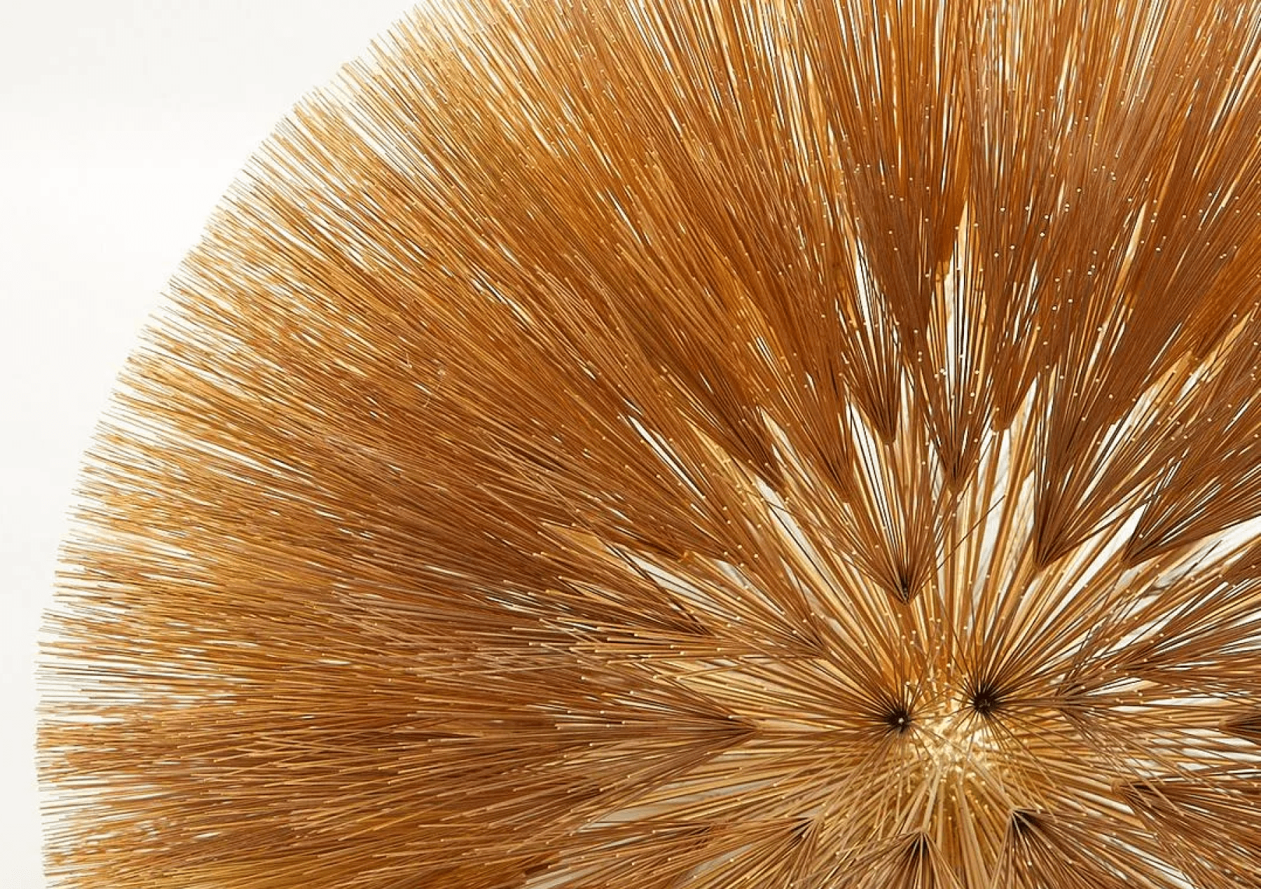 Harry Bertoia gilt wire bush sculpture, detail — a modern work we value for consignment