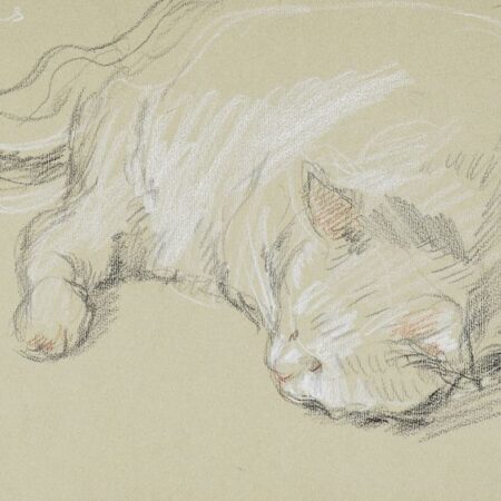 Paul Cadmus Sleeping Cat Crayon on Paper