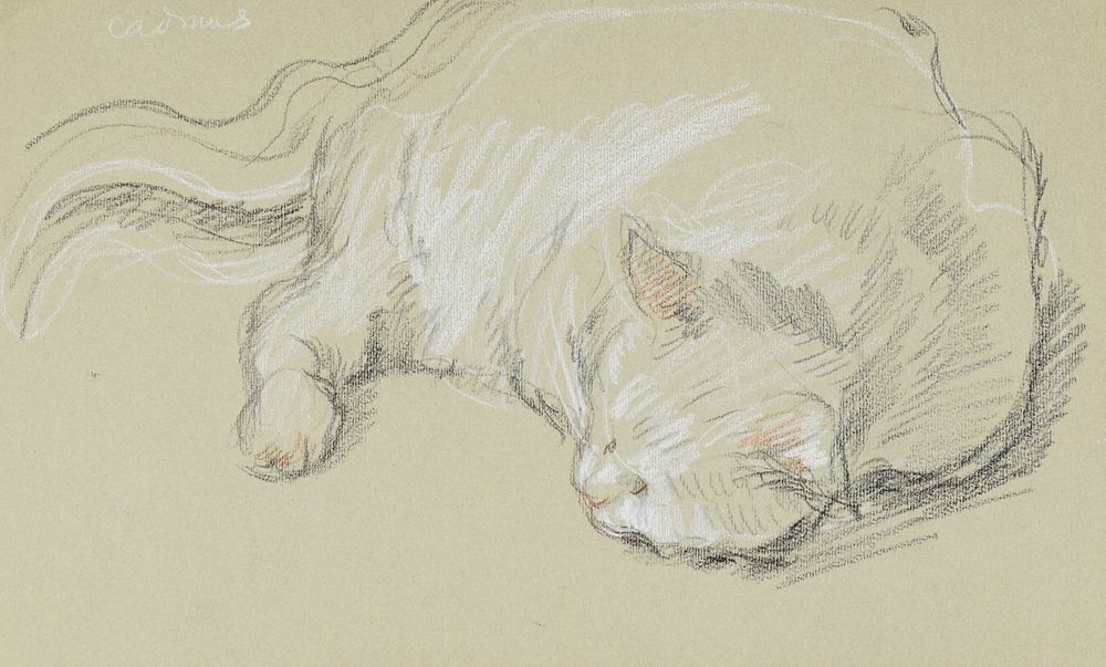le_pho_banner 2 Paul Cadmus Sleeping Cat Crayon on Paper
