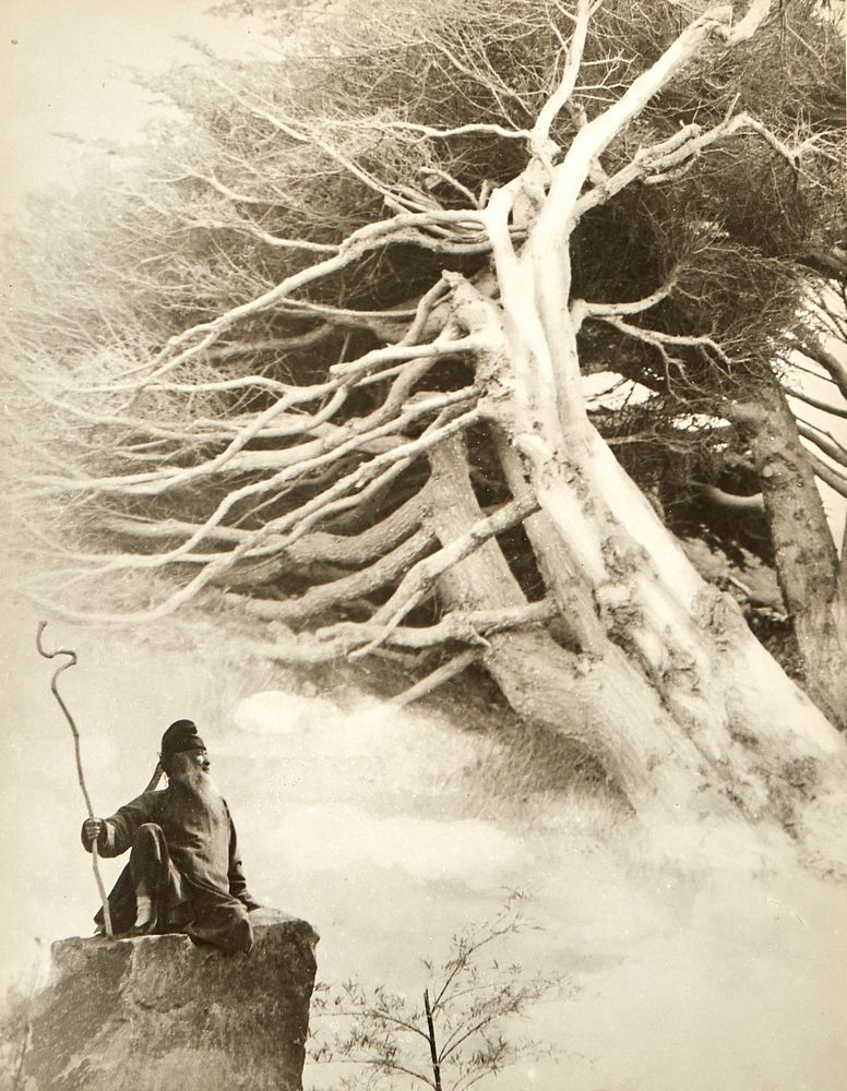 le_pho_banner 2 Chin San Long Photograph Zhang Daqian Cypress Trees