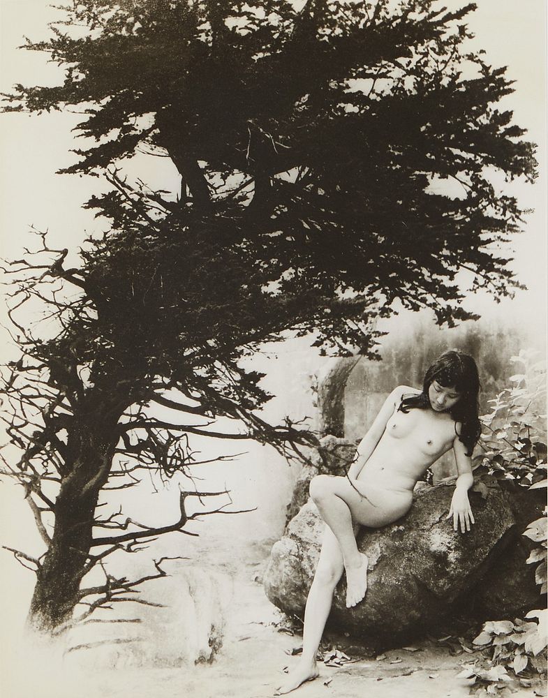 le_pho_banner 2 Chin San Long Photograph Nude with Tree Signed