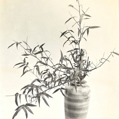 Chin San Long Photograph - Bamboo Still Life