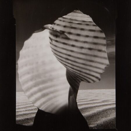 Ruth Thorne-Thomsen "Shell Head" Photo