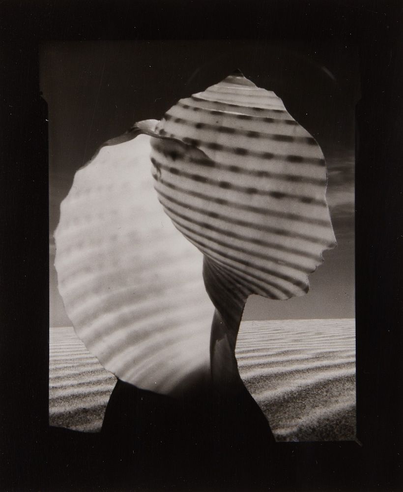 le_pho_banner 2 Ruth Thorne-Thomsen "Shell Head" Photo