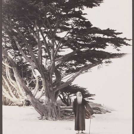 Chin San Long Photograph - Taking a Stroll