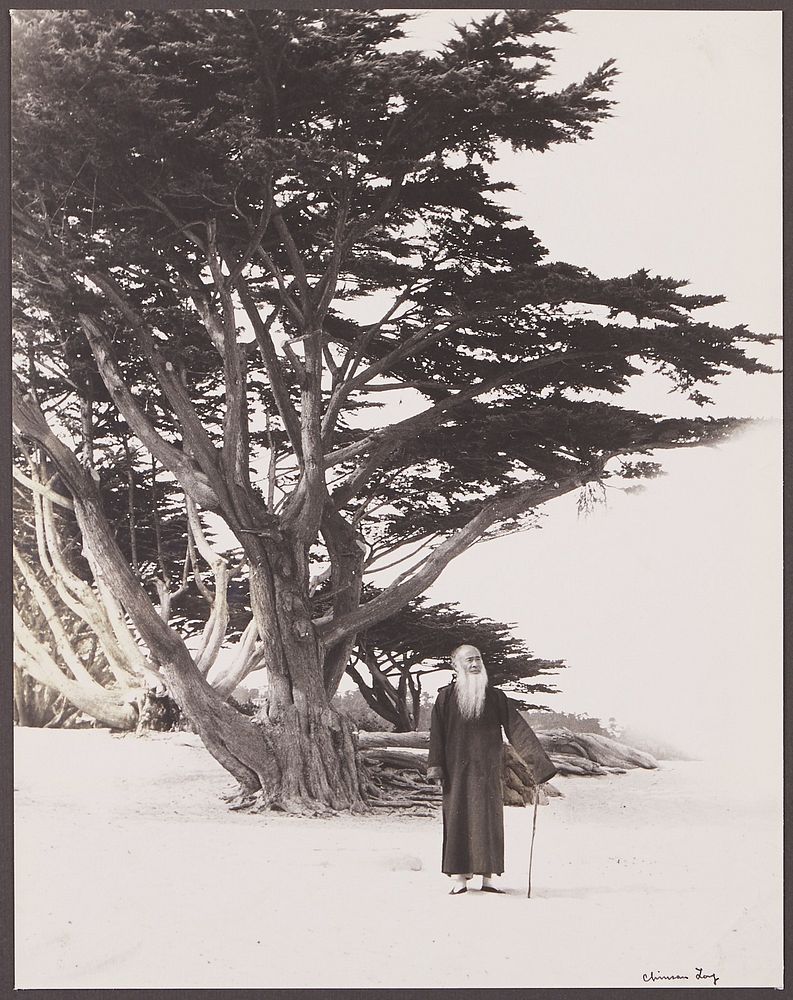 le_pho_banner 2 Chin San Long Photograph - Taking a Stroll
