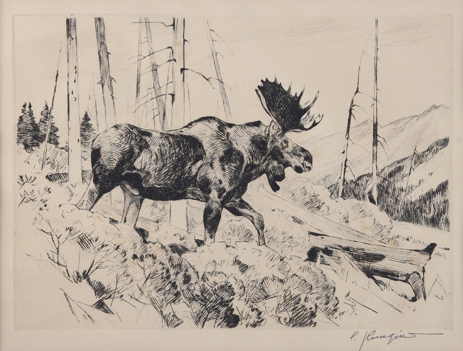 le_pho_banner 2 Carl Rungius Etching "The Traveler"