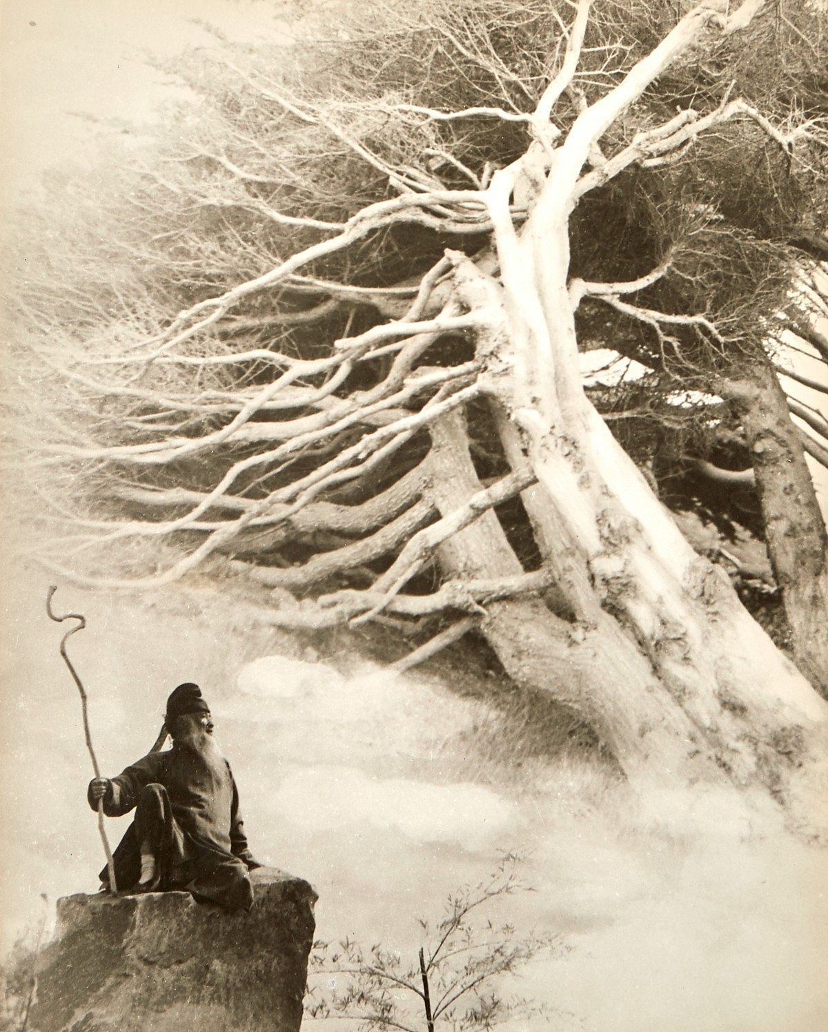le_pho_banner 2 Chin San Long Photograph Zhang Daqian 1963
