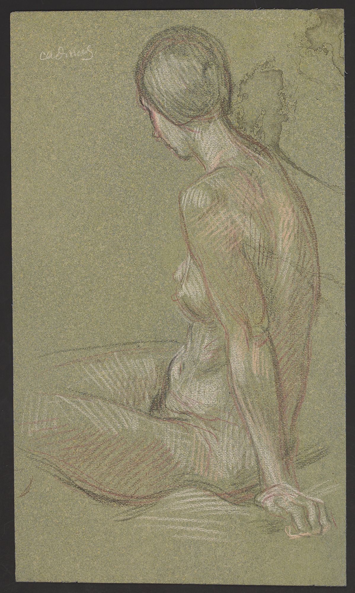 le_pho_banner 2 Paul Cadmus Seated Female Nude Crayon on Paper