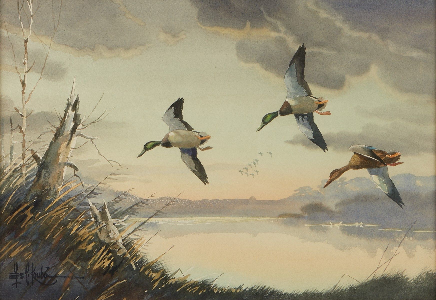 le_pho_banner 2 Les Kouba Wildlife Painting Ducks