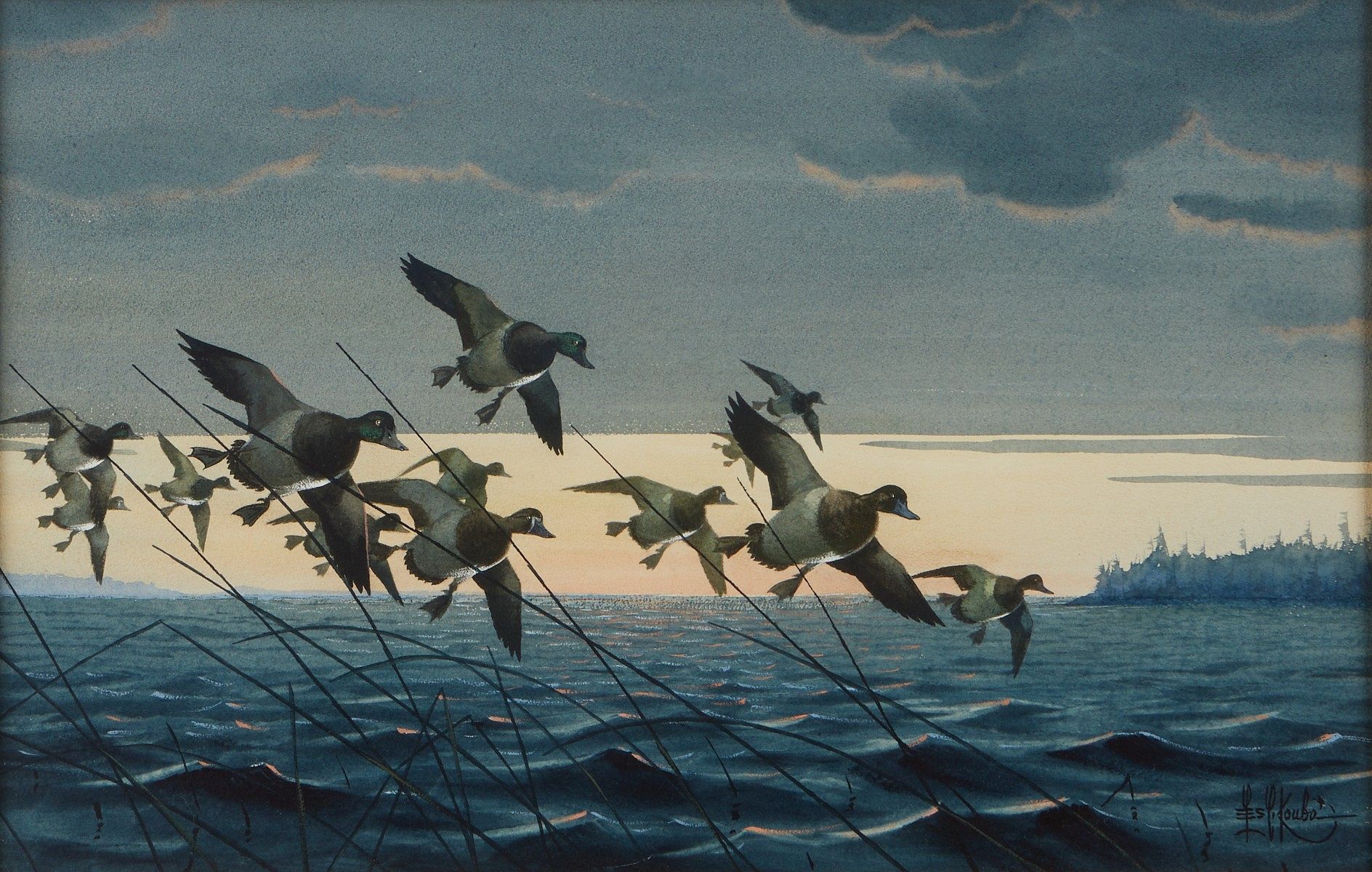 le_pho_banner 2 Les Kouba Wildlife Painting Ducks