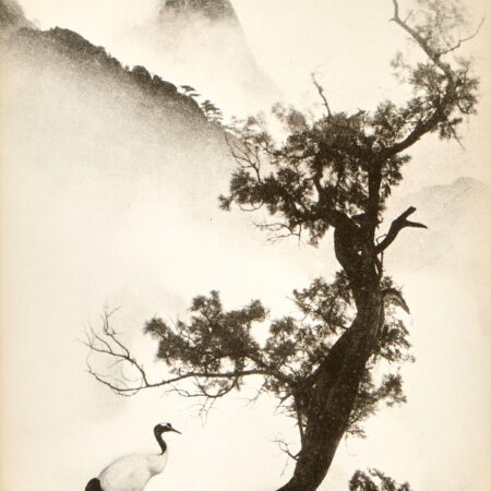 Chin San Long Photograph "Symbol of Longevity"