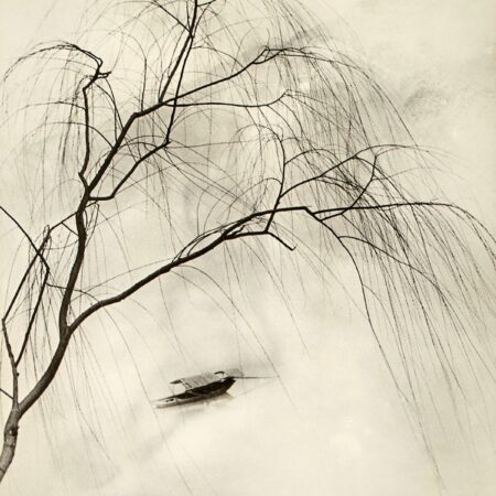 Chin San Long Photograph "Spring Fantasia"