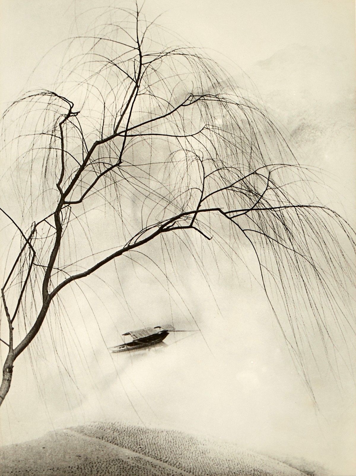 Chin San Long Photograph "Spring Fantasia"