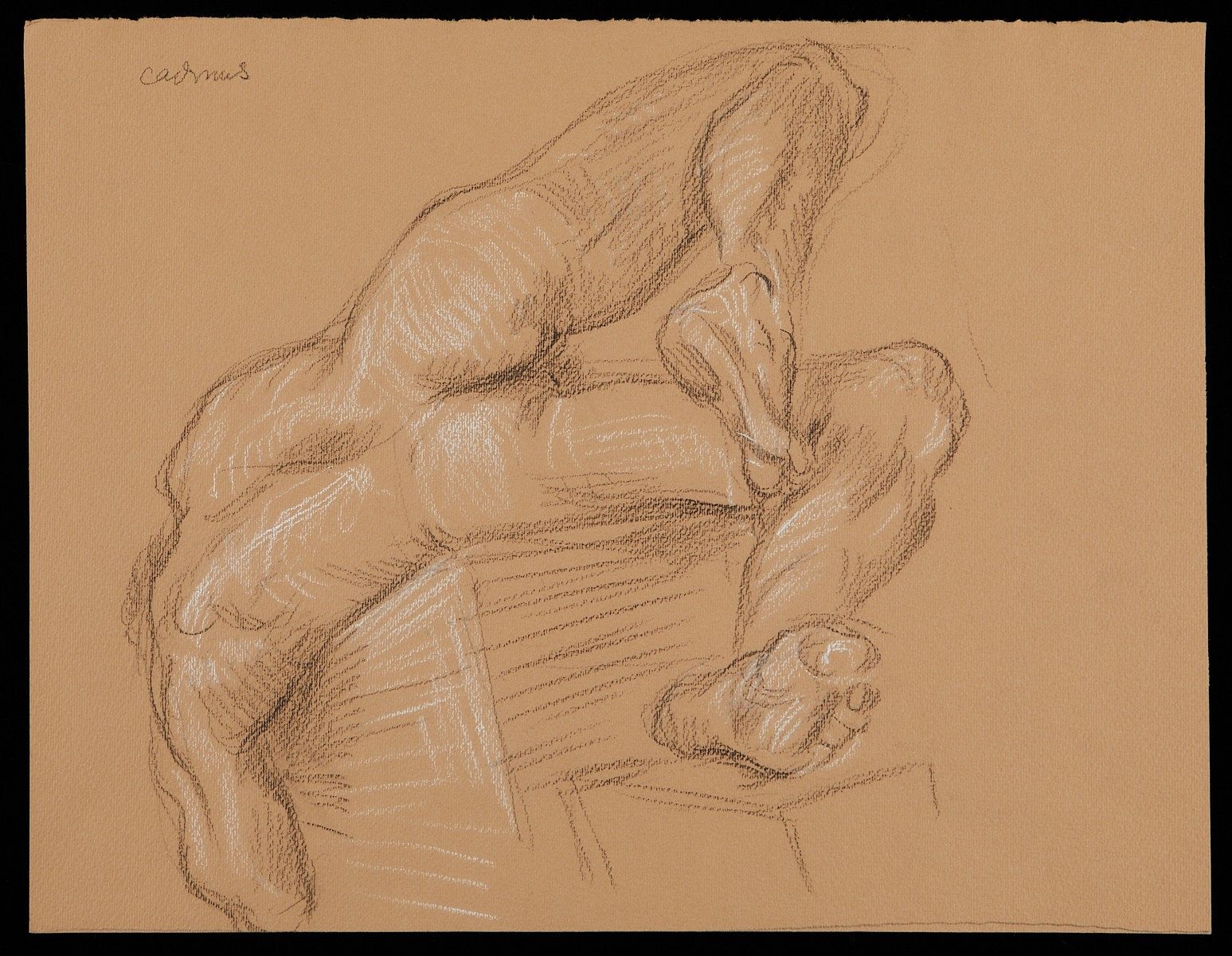 le_pho_banner 2 Paul Cadmus Lying Nude Back View Crayon on Paper