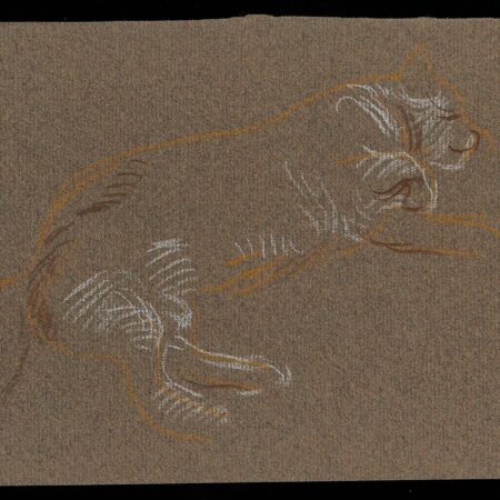 Paul Cadmus Sleeping Cat Crayon on Paper