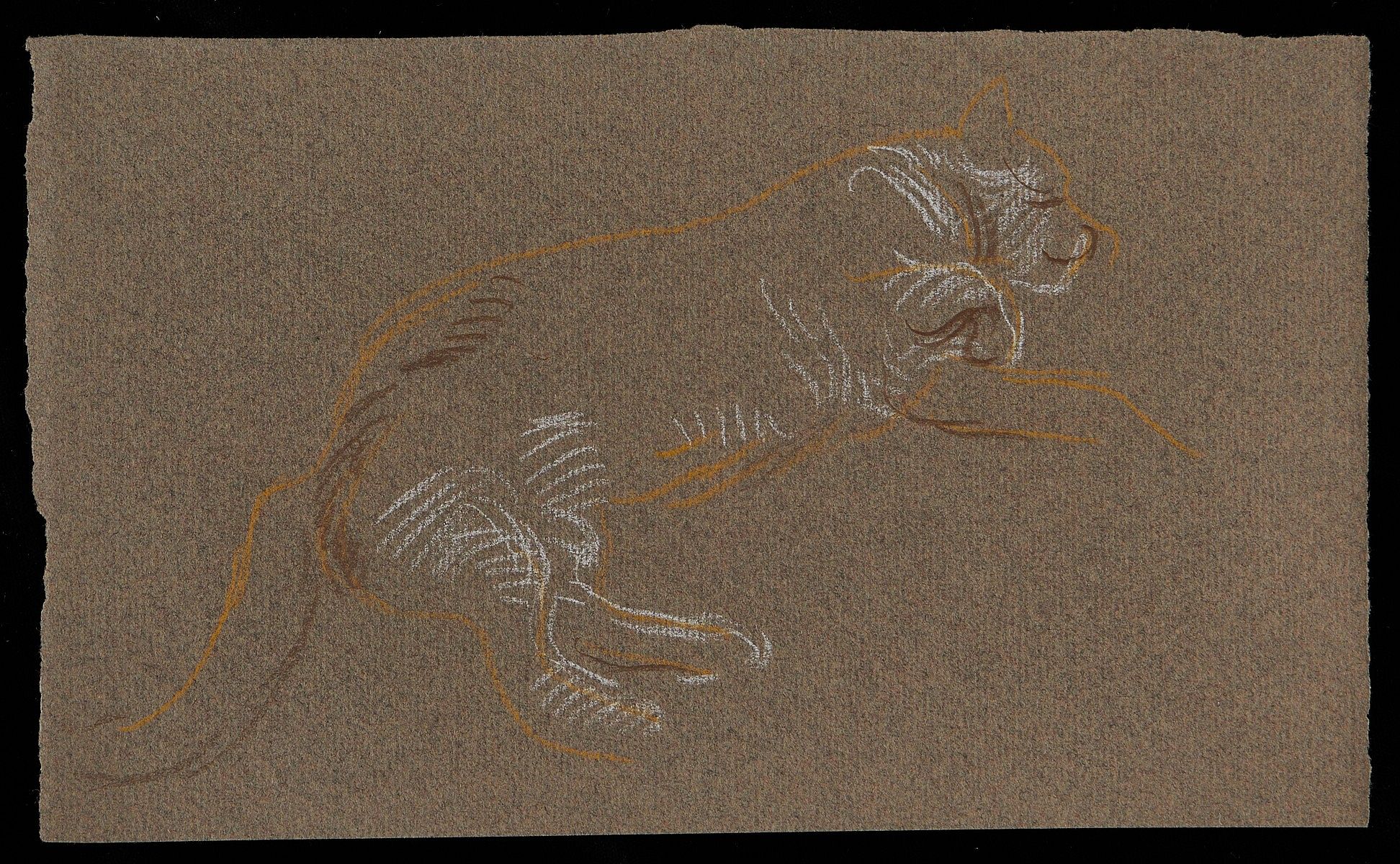 le_pho_banner 2 Paul Cadmus Sleeping Cat Crayon on Paper