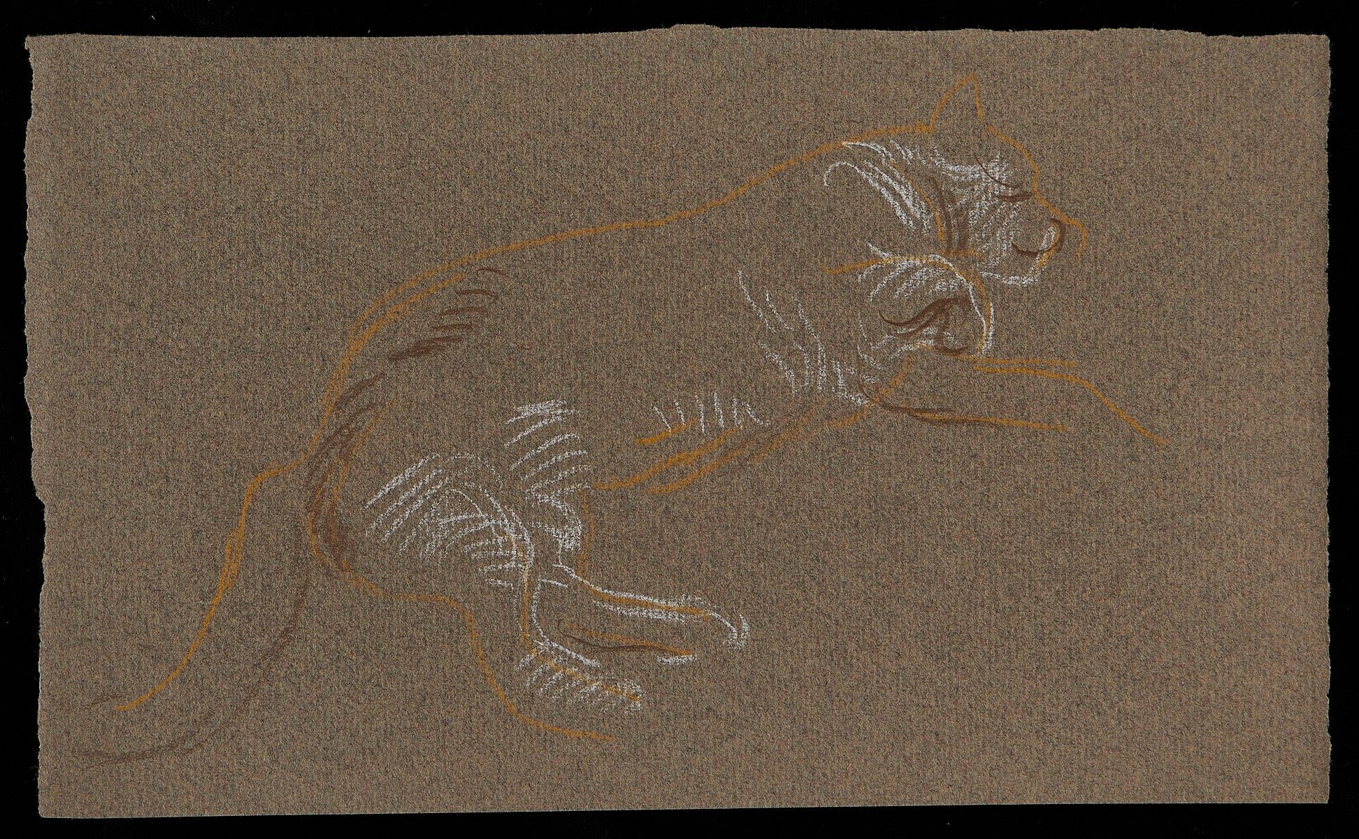 Paul Cadmus Sleeping Cat Crayon on Paper