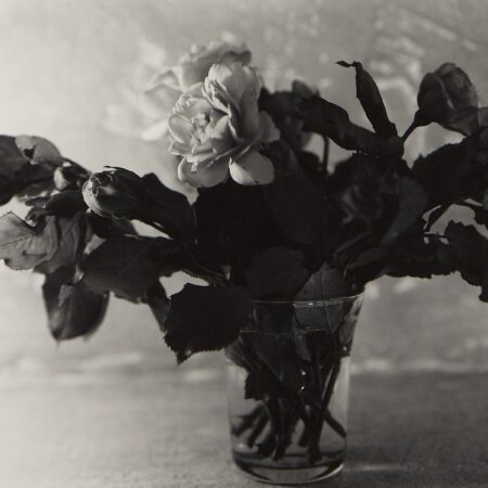 JoAnn Verburg Still Life Flowers Photograph