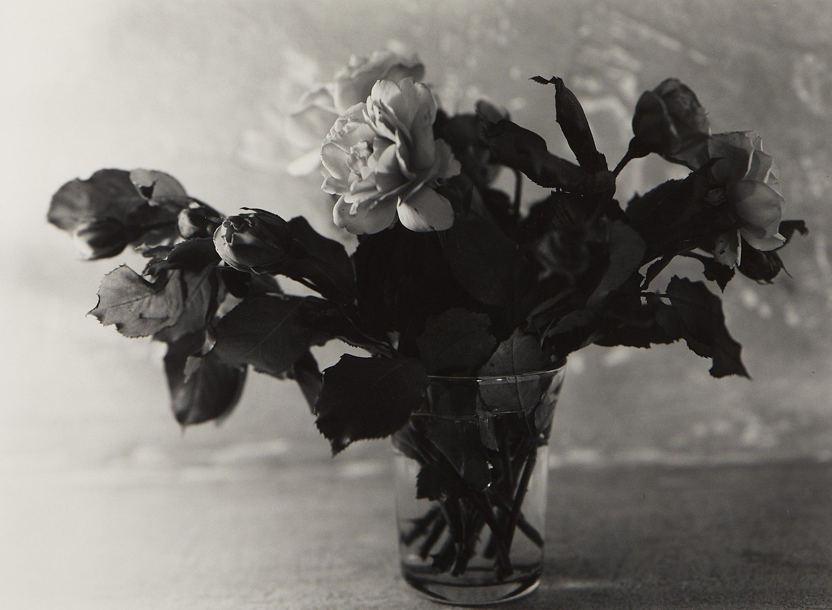 le_pho_banner 2 JoAnn Verburg Still Life Flowers Photograph