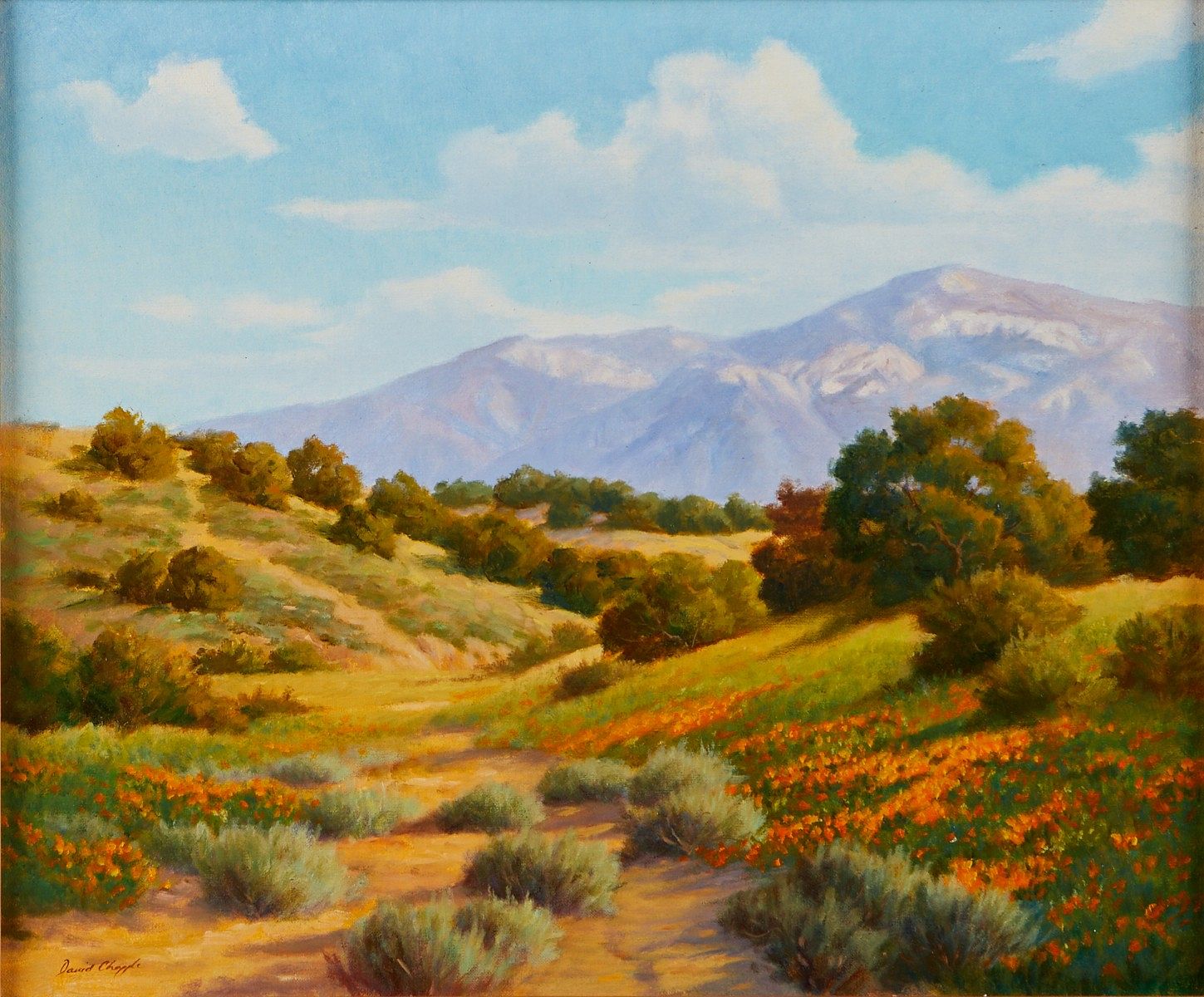 le_pho_banner 2 David Chapple "Canyon Poppies" Oil on Board