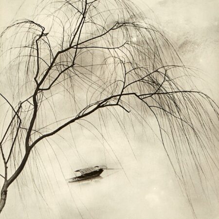 Chin San Long Photograph "Spring Fantasia"