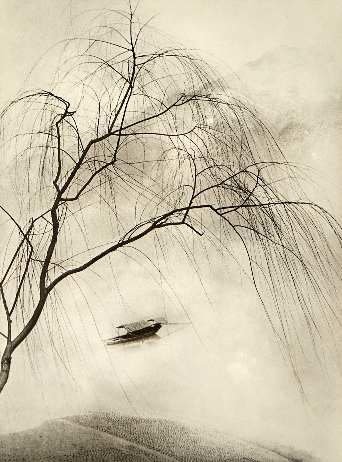 le_pho_banner 2 Chin San Long Photograph "Spring Fantasia"