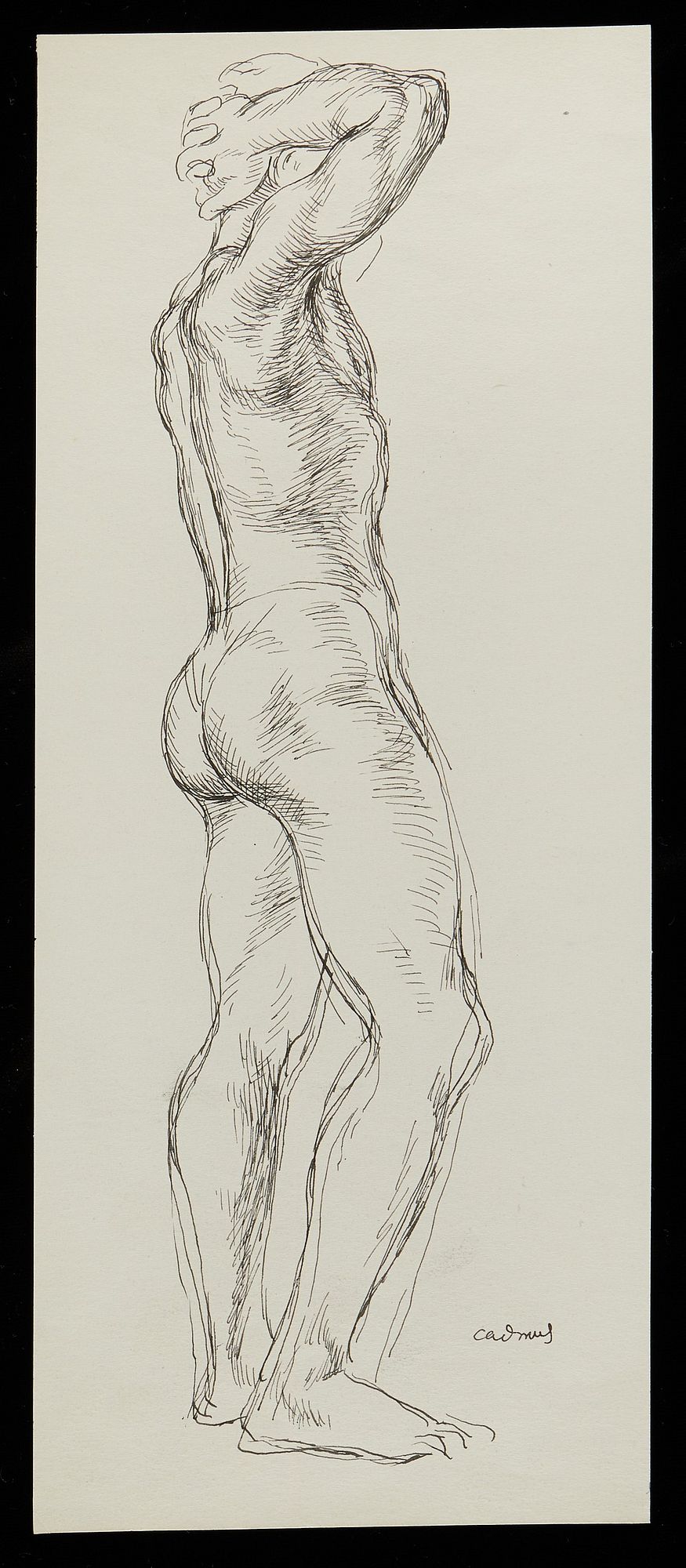 le_pho_banner 2 Paul Cadmus Standing Male Nude Ink on Paper