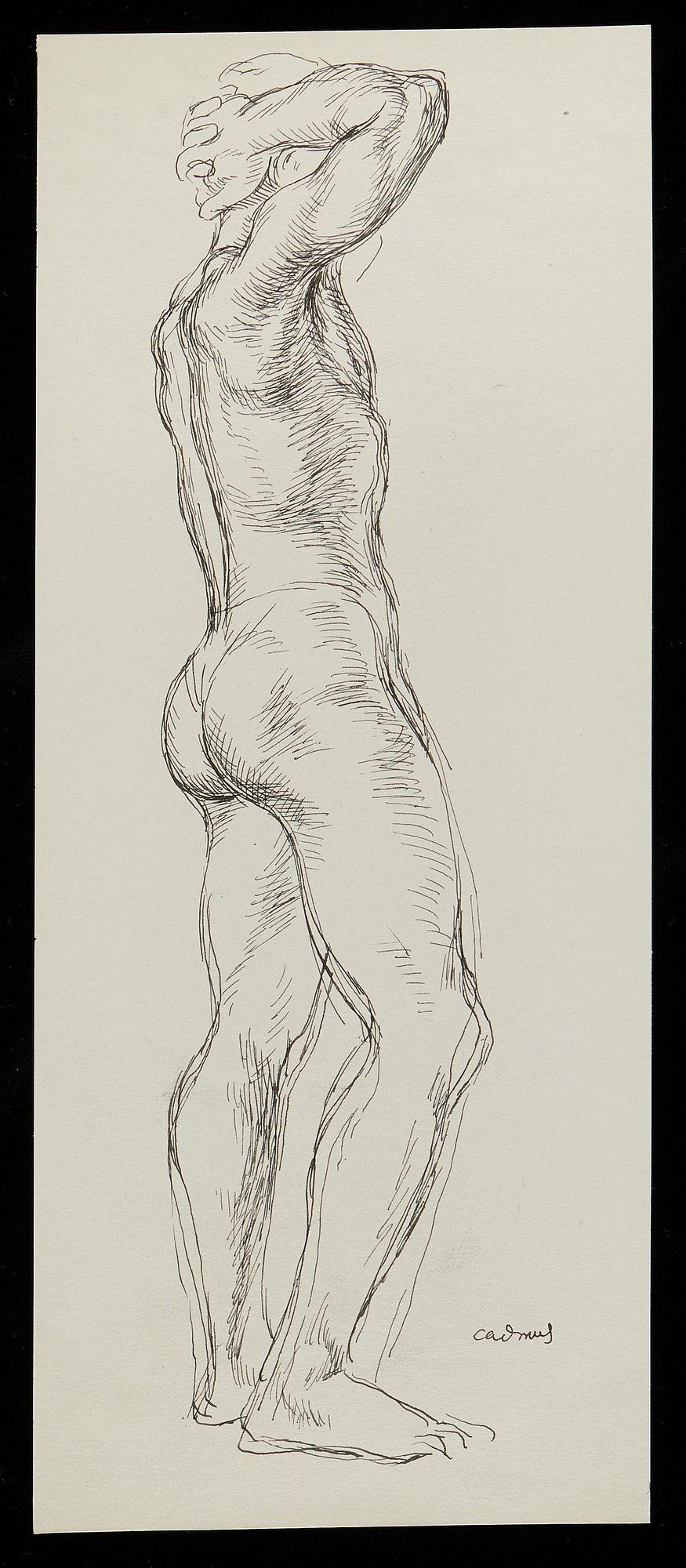 Paul Cadmus Standing Male Nude Ink on Paper