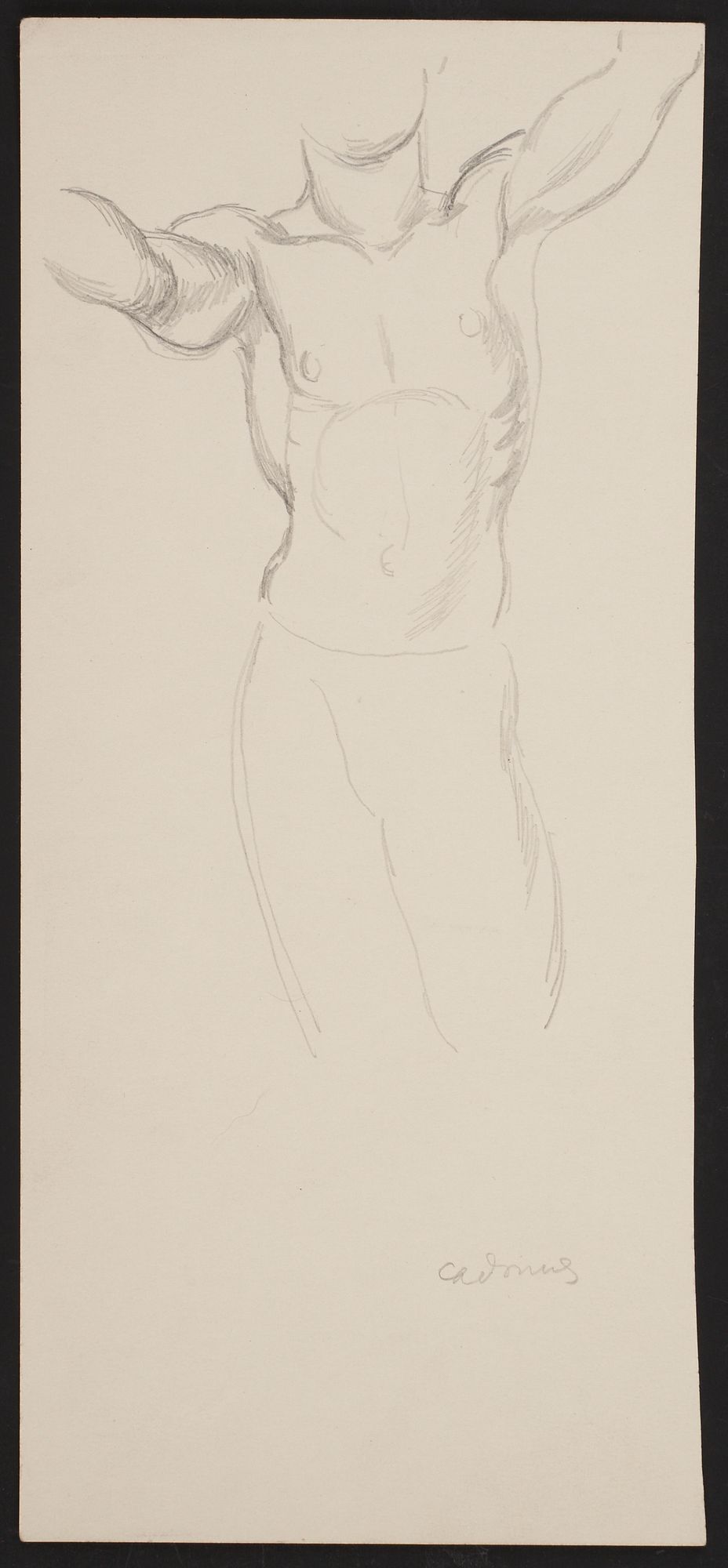 le_pho_banner 2 Paul Cadmus Male Torso Graphite on Paper