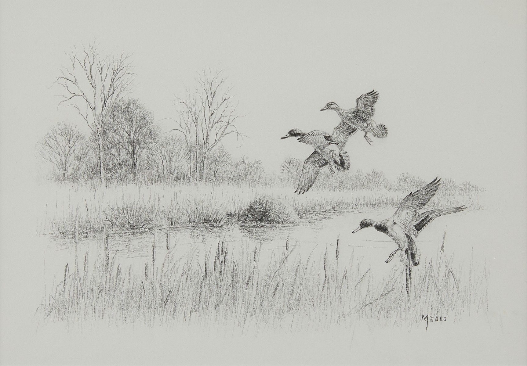 le_pho_banner 2 David Maas Graphite Drawing of Ducks