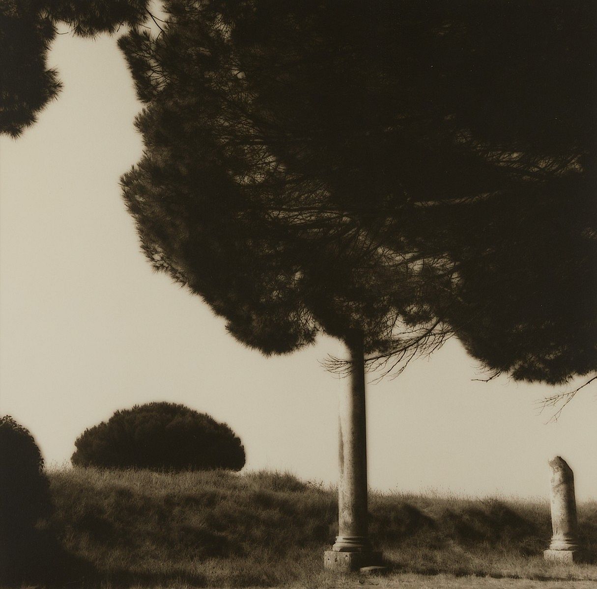 le_pho_banner 2 Lynn Geesaman Landscape Photograph