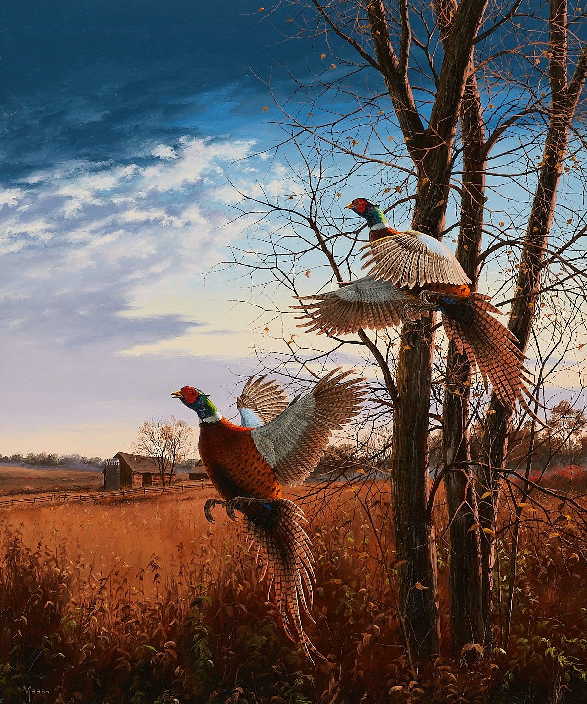 le_pho_banner 2 David Maass "Evening Flight - Pheasants" Painting