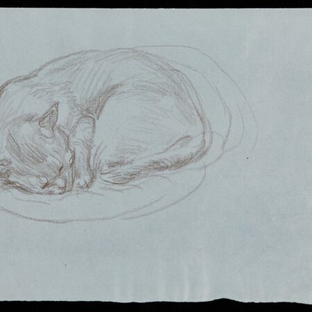 Paul Cadmus Sleeping Cat Crayon on Blue Paper