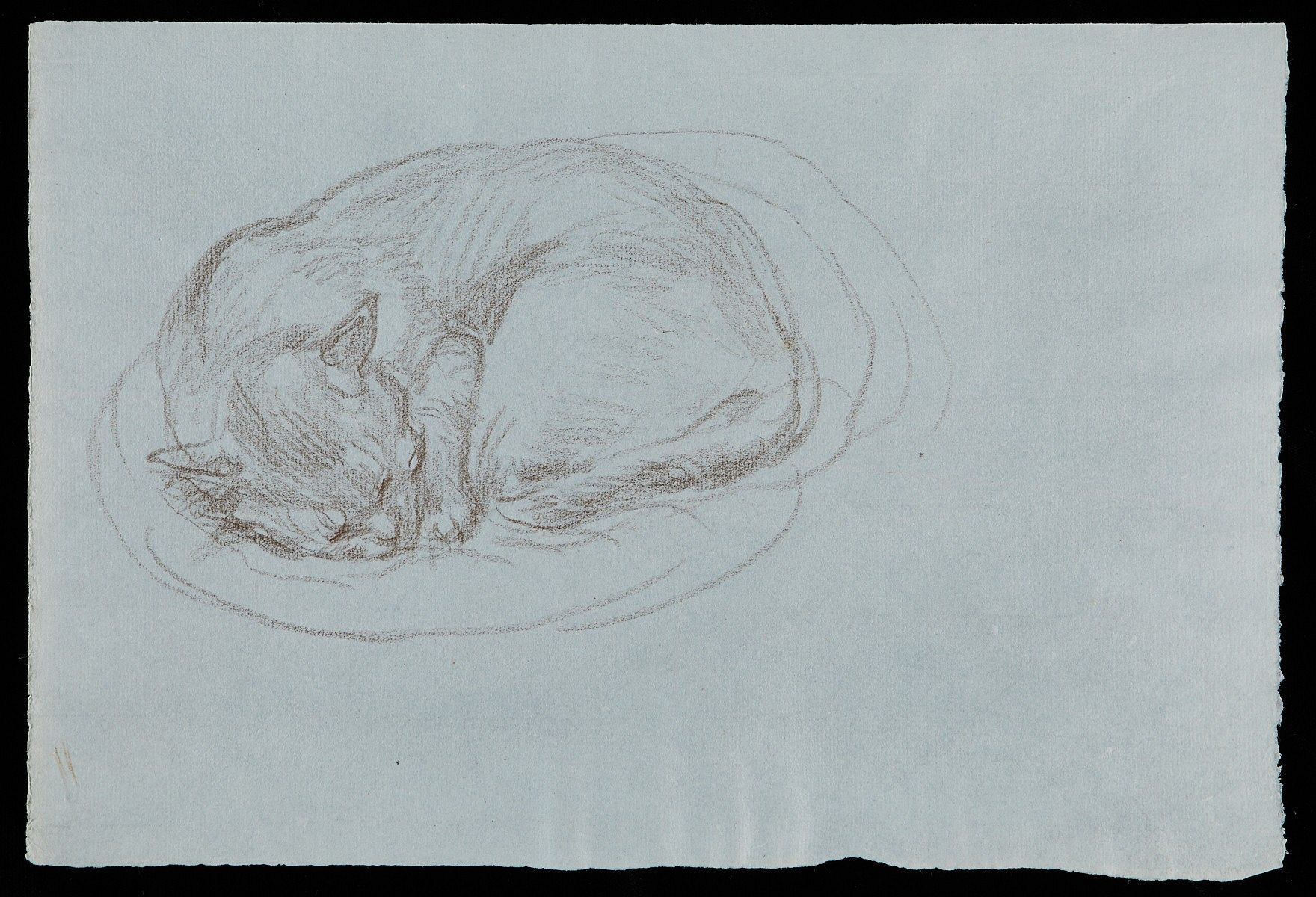 le_pho_banner 2 Paul Cadmus Sleeping Cat Crayon on Blue Paper