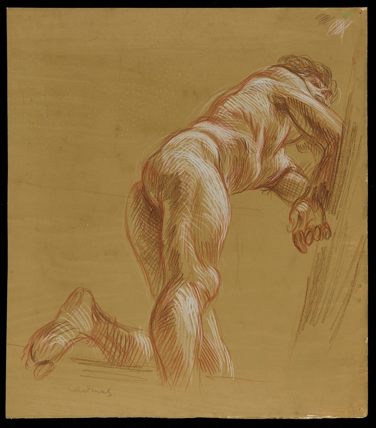 Paul Cadmus Male Nude Crayon on Paper