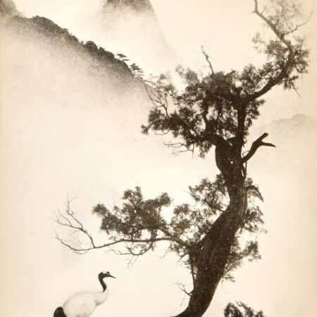 Chin San Long Photograph - Crane Under Tree