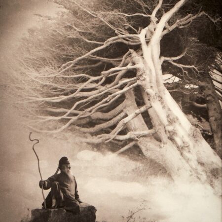 Chin San Long Photo Zhang Daqian Cypress Trees