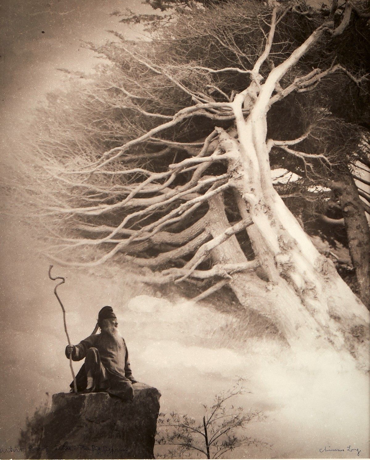 le_pho_banner 2 Chin San Long Photo Zhang Daqian Cypress Trees