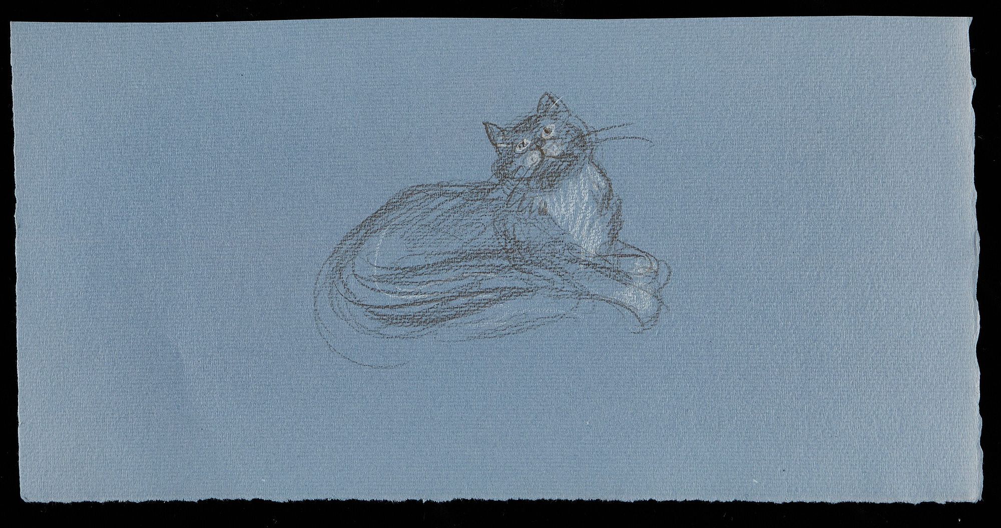 le_pho_banner 2 Paul Cadmus Cat Crayon on Blue Paper Sketch