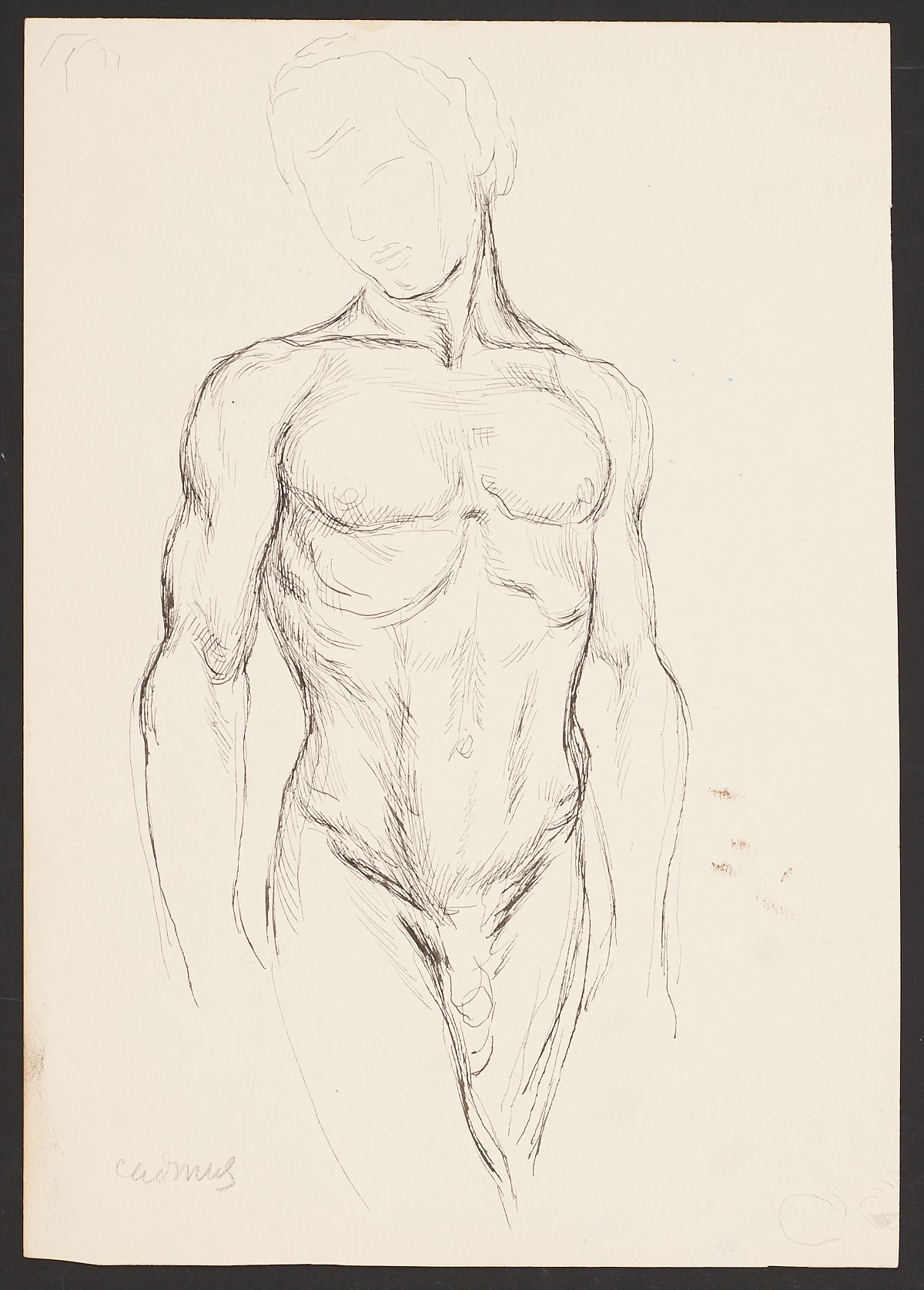le_pho_banner 2 Paul Cadmus Male Nude Torso Ink on Paper