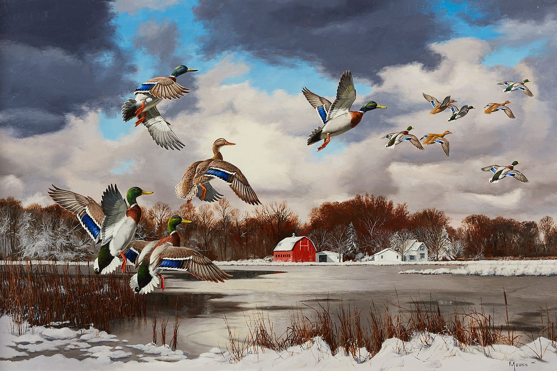 le_pho_banner 2 David Maass "Season's End: Mallards" Painting