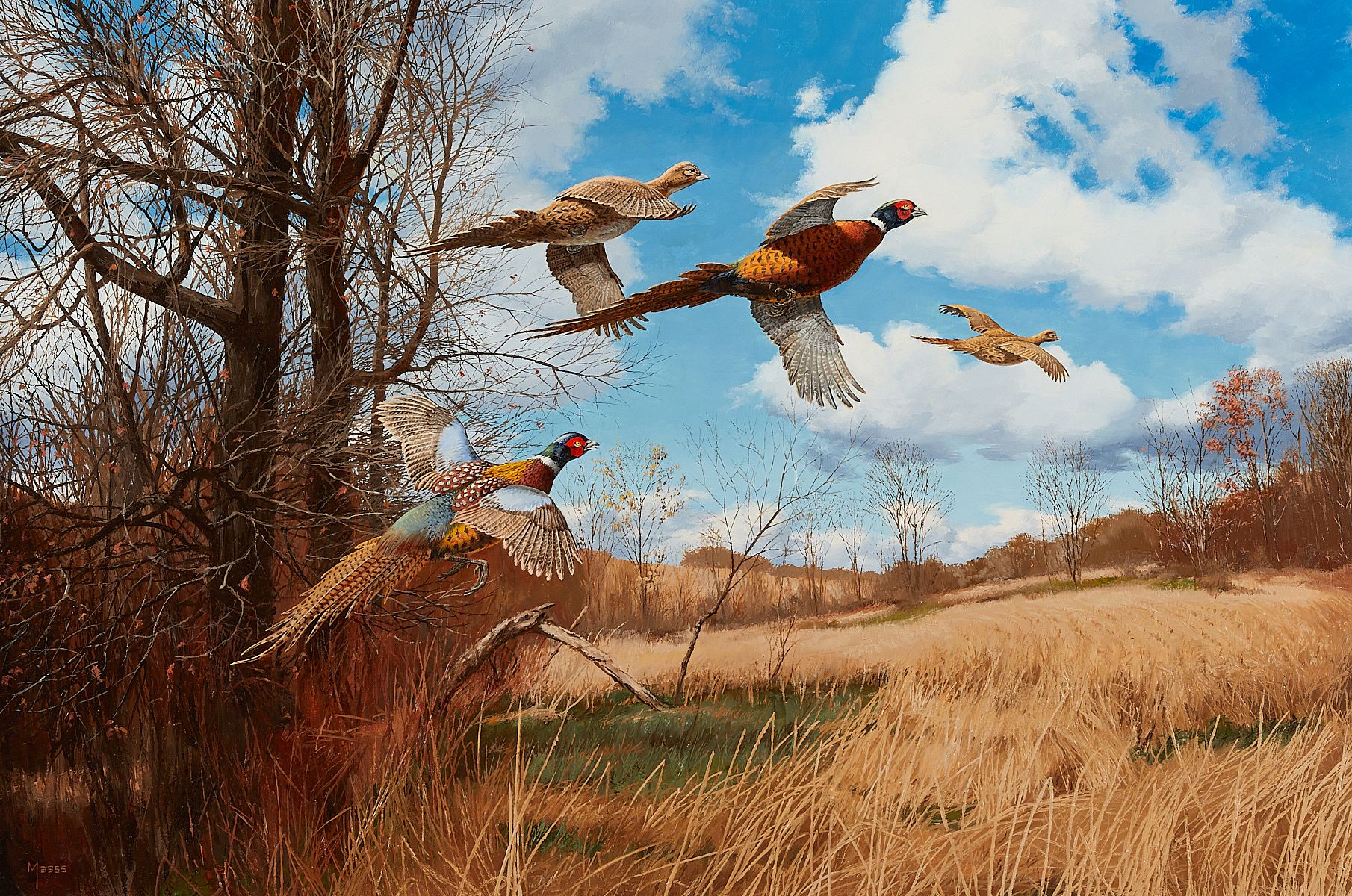 le_pho_banner 2 David Maass "Tomahawk Trail: Pheasants" Painting