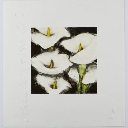 Donald Sultan Lilies Serigraph